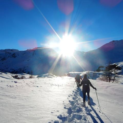 Snow-shoe hiking in Oberwallis 