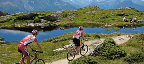 Mountain bike nella regione Aletsch